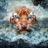 RCdW123's profile image