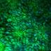 Neuromics (@neuromics) Twitter profile photo