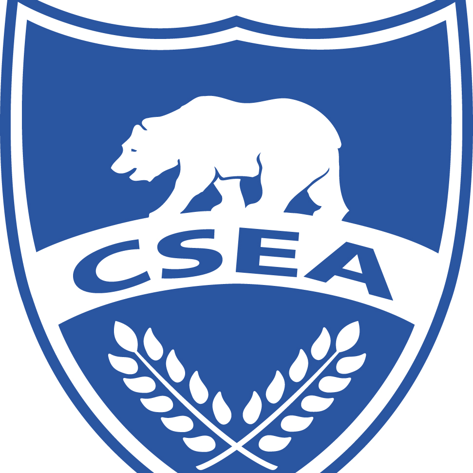 CSEA Chapter 133