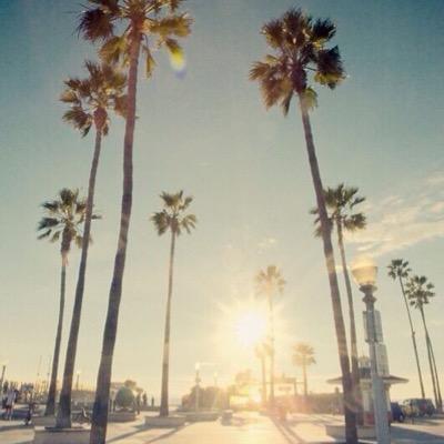 notaverage707's profile picture. •I post cool stuff sometimes•