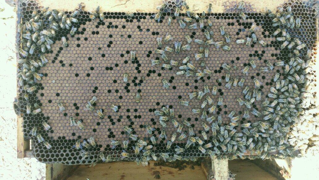 CummerRc's profile picture. 