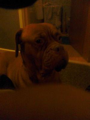 BialekWiktor's profile picture. 