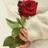 Sara_32Al's profile image