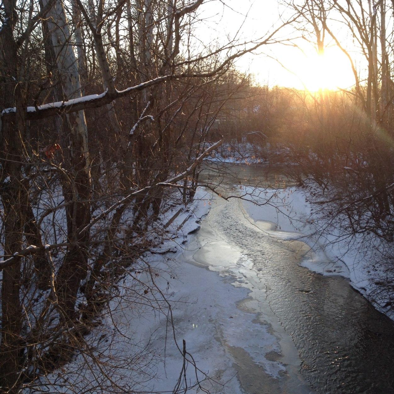 11sun_shine11's profile picture. I am the stone that the builder refused.