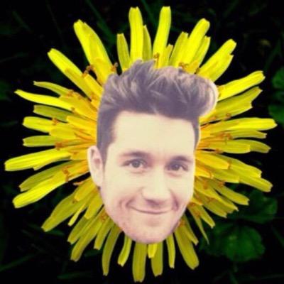 dan smith makes me sneeze from happiness.