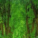 Moses Badger - @mbadger22 - Twitter