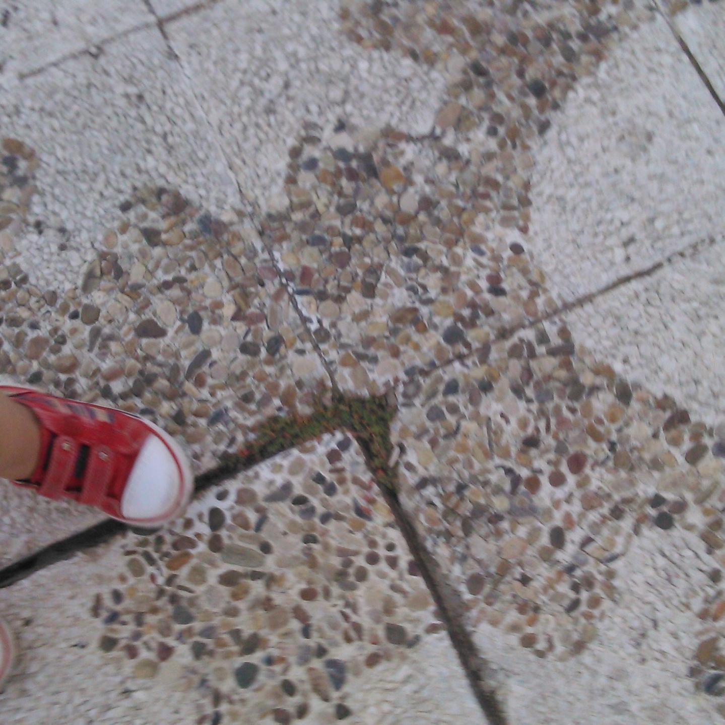 cordobesita7's profile picture. 