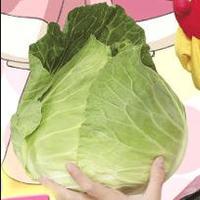 キャベツ星人 (@cabbage_seijin) 's Twitter Profile