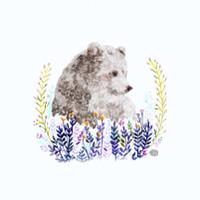 ✩ (@t_kon) 's Twitter Profile