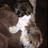 Sarajane1982's profile image