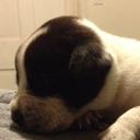 Michael Cornman. - @viktar122 - Twitter