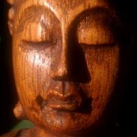 Wisdom Thrives (@buddha_insights) 's Twitter Profile