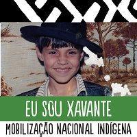 Mineiro da Vila de São João da Vigia. Livreiro e bibliófilo. Humanista. Pensa História, Direito e Literatura.