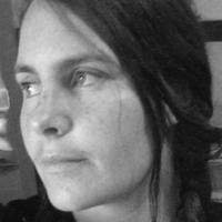 Dr Maibritt Pedersen Zari (@mpedersenzari) 's Twitter Profile