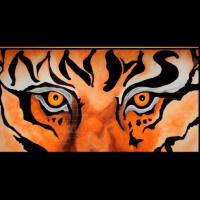 MN Student Council (@mn_stuco) 's Twitter Profile Photo
