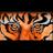 MN_StuCo's profile image