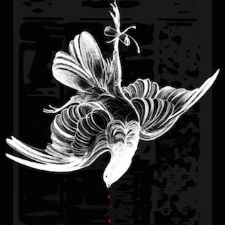 ktm_film's profile picture. We have the capacity for rational solutions, but seem too enthralled with the emotional tumult of an untimely present.