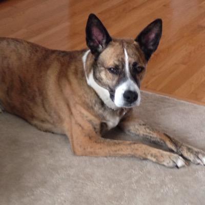 JoanRiessen's profile picture. 