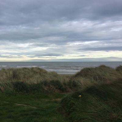 KelleyBill's profile picture. 