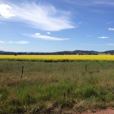 mericl18's profile picture. 