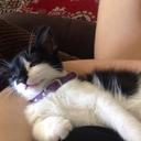 Marnie Owen - @marnie_owen - Twitter