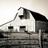 WeAre1Ag's profile image