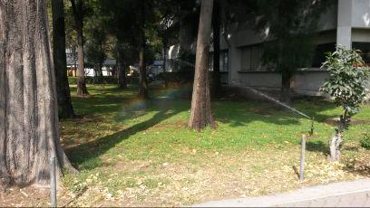 SyaoranRk's profile picture. Soy muy bueno dando consejos siempre y cuando no sean para mi│19│Amante de la música Rock│Psicología UNAM│Los Bunkers