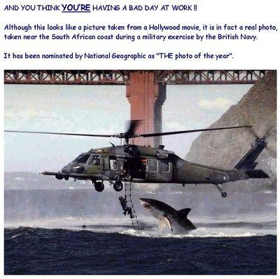 Darbyman2000's profile picture. I stay trill! Not fake!