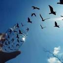 Mizgin (@59005634yet) Twitter