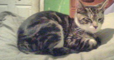 akkdesign39's profile picture. 