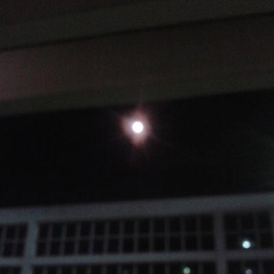 Bellrose1602's profile picture. Line : kchk1738. (อย่าลืมจุดนะ)