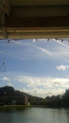 divad_zx's profile picture. 