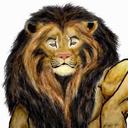 Donald Grim - @lionfire3 - Twitter