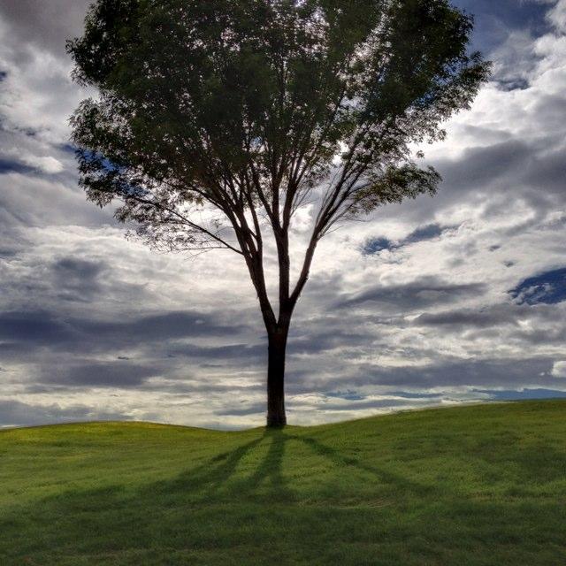 SmallTheater's profile picture. Manager of The Small Community Theater where the only thing small about our theater is in the name. Small Theater was founded by Jerry and Delores Small.