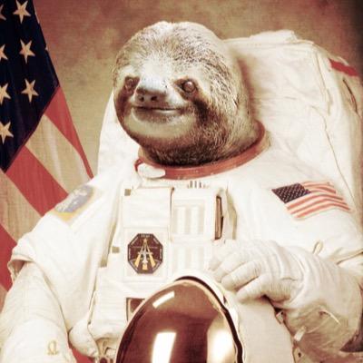 ChillMalik00's profile picture. 