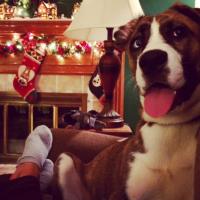 mike tracey (@miketracey5) 's Twitter Profile