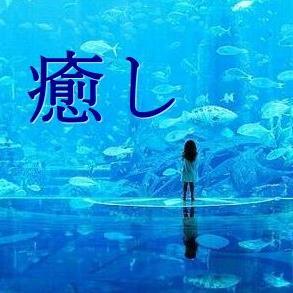 癒される言の葉（名言）を呟いていきます。相互フォロー募集中です。