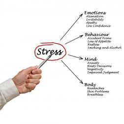 Howtodealwiths's profile picture. For many people, stress is simply a part of everyday life, whether it arises from a difficult work situation, or family issues.