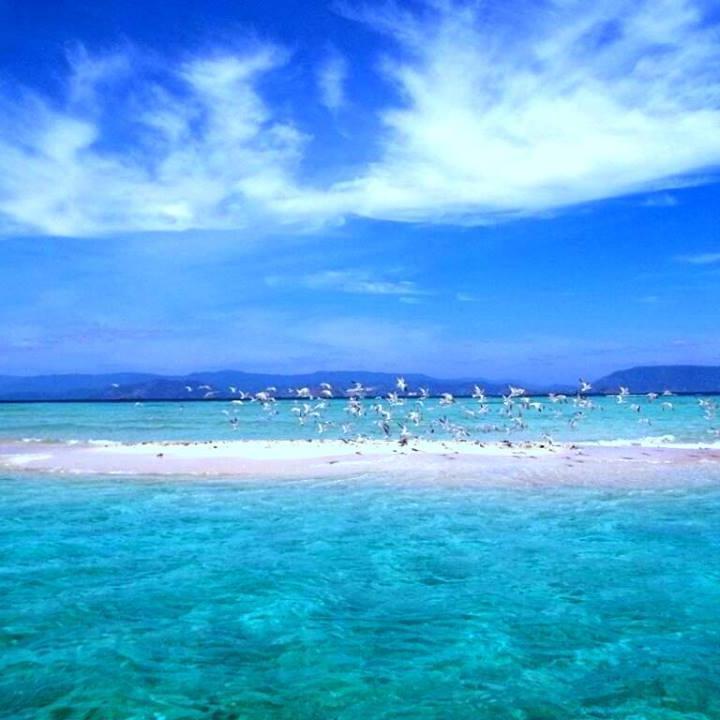 TravelLombok1's profile picture. 