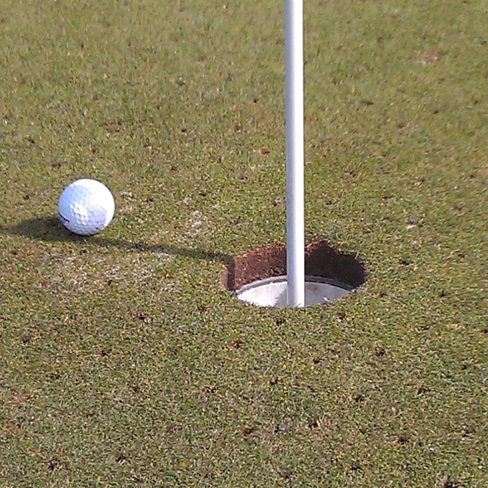 Retired Teacher, Wisconsin sports homer, golfer, greens keeper.