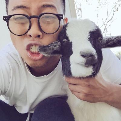 Hi, my name is Gravy & I'm a twitchy goat! @rudanc is my owner. This is my official Twitter!