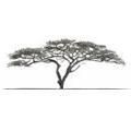 Acacia Capital (@acaciacap) 's Twitter Profile