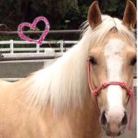 りら (@lilla_1105) Twitter profile photo