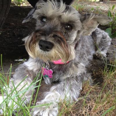 TBuchhop's profile picture. 