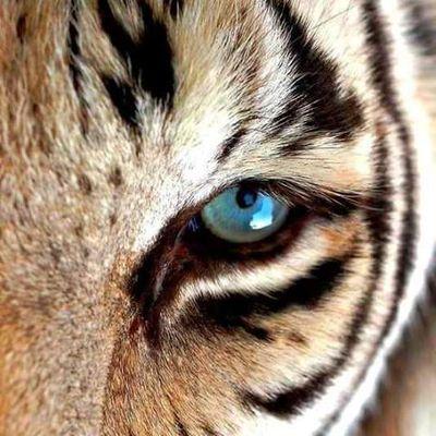 kimblejamie23's profile picture. ✌ For god so loved the world he gave his only begotten son that who ever believes in him shall not perish but have everlasting life