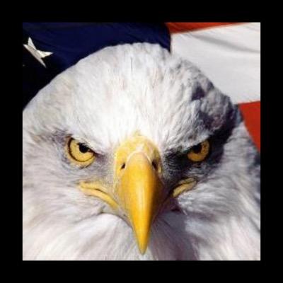 AmericanPride0's profile picture. Ready to expose Liberals for the corruption they stand for 1 tweet at a time. NY is my home but needs saving. Young Conservative trying to save my generation