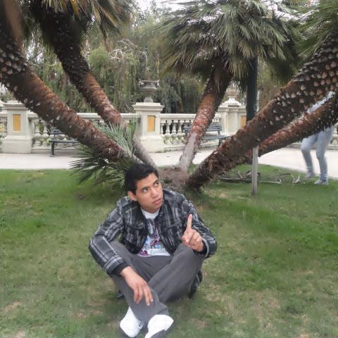 favi_31's profile picture. 