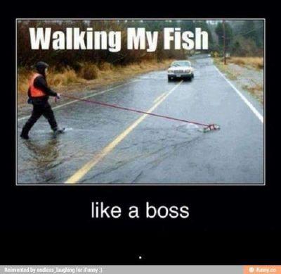 hhhhhhhhmmmmmm person i am