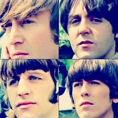 tutto ciò di cui hai bisogno è l'amore ☆Beatlemania
