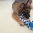 Faye Ortiz - @faye1223 - Twitter